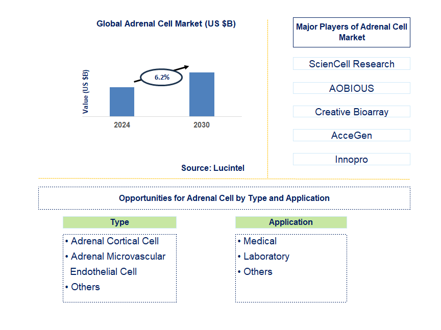 Adrenal Cell Trends and Forecast